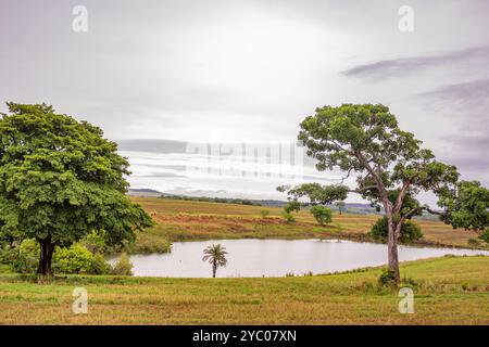 Anicuns, Goias, Brésil – 20 octobre 2024 : un paysage sur les rives de la GO-326 à Anicuns, avec un petit lac et quelques arbres autour par temps nuageux. Banque D'Images