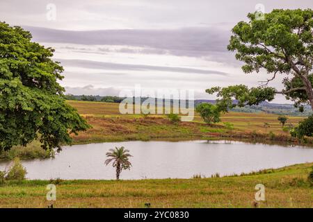 Anicuns, Goias, Brésil – 20 octobre 2024 : un paysage sur les rives de la GO-326 à Anicuns, avec un petit lac et quelques arbres autour par temps nuageux. Banque D'Images