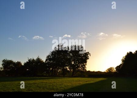 Promenade dans les champs et les bois à la mi-octobre à Downe, près de Charles Darwin's Down House. Lumière du soir comme 40 minutes avant le coucher du soleil par temps clair Banque D'Images