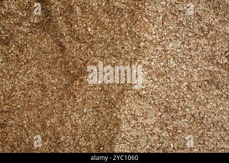 vue sur la texture du stockage des copeaux de bois d'eucalyptus Banque D'Images