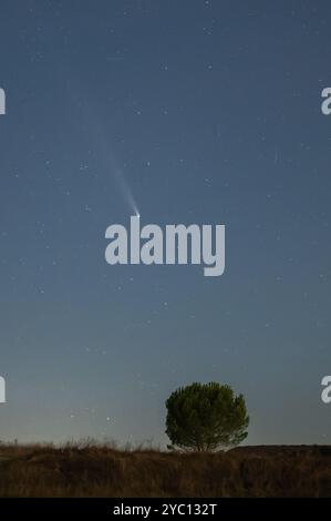 Cuellar, Espagne. 20 octobre 2024. La comète C/2023 A3 (ATLAS de Tsuchinshan), connue aussi sous le nom de « comète du siècle », traverse le ciel. Crédit : Marcos del Mazo/Alamy Live News Banque D'Images