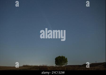 Cuellar, Espagne. 20 octobre 2024. La comète C/2023 A3 (ATLAS de Tsuchinshan), connue aussi sous le nom de « comète du siècle », traverse le ciel. Crédit : Marcos del Mazo/Alamy Live News Banque D'Images