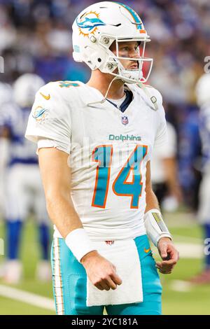 Indianapolis, Indiana, États-Unis. 20 octobre 2024. Le quarterback des Dolphins de Miami Tim Boyle (14 ans) lors d'un match de la NFL contre les Colts d'Indianapolis au Lucas Oil Stadium à Indianapolis, Indiana. John Mersits/CSM/Alamy Live News Banque D'Images