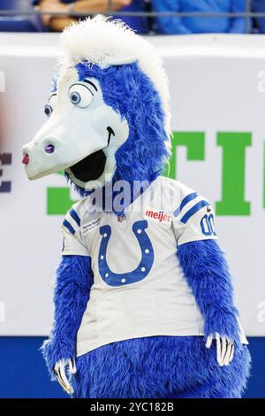 Indianapolis, Indiana, États-Unis. 20 octobre 2024. Blue, la mascotte des Colts d'Indianapolis, se produit lors d'un match de la NFL contre les Dolphins de Miami au Lucas Oil Stadium d'Indianapolis, dans l'Indiana. John Mersits/CSM/Alamy Live News Banque D'Images