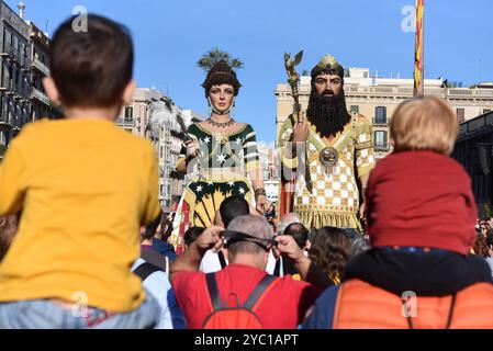 Barcelone, Espagne. 17 janvier 2014. Gigantes (Gigants) sont vus pendant le Centenaire et le Festival des géants historiques de Catalogne à Barcelone. (Photo de Jorge Sanz/SOPA images/SIPA USA) crédit : SIPA USA/Alamy Live News Banque D'Images