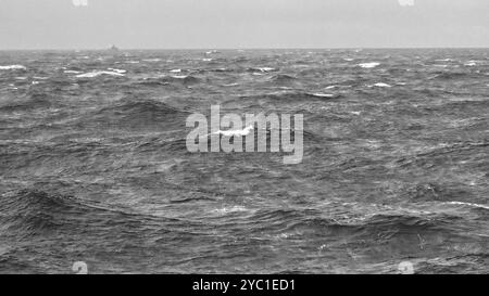 Une journée sombre et une houle agitée dans le détroit de Cook entre les îles du Nord et du Sud de la Nouvelle-Zélande, avec un navire faible à l'horizon Banque D'Images