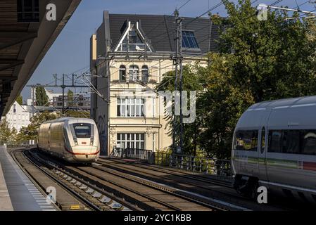 Station de S-Bahn Tiergarten avec trains locaux et longue distance, Berlin, Allemagne, Europe Banque D'Images