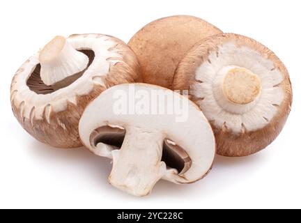 Champignons à chapeau brun ou champignons agaricus isolés sur fond blanc. Gros plan. Banque D'Images