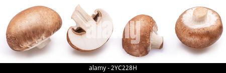 Champignons à chapeau brun ou champignons agaricus isolés sur fond blanc. Gros plan. Banque D'Images