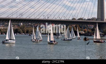 Serbie, 28 septembre 2024 : une régate de voile de Micro Class a eu lieu sur la Save à Belgrade Banque D'Images