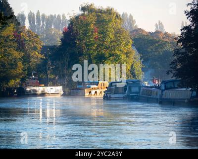 Une péniche amarrée par la Tamise à Abingdon, reflétant le soleil bas par un matin d'automne brumeux. Abingdon prétend être la plus ancienne ville d'Angleterre, et la Tamise traverse son cœur. Si vous faites une promenade en rivière ou du jogging la plupart des jours, vous pouvez souvent attraper des moments transitoires merveilleux et des effets de lumière comme celui-ci. Banque D'Images