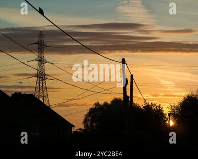 J'adore les pylônes électriques et les lignes électriques ; je trouve leurs formes abstraites et lacunaires infiniment fascinantes. Ici, nous en voyons un dans les champs de Lower Radley, illuminé par un lever de soleil d'automne vif. Les câbles basse tension et téléphoniques sur un mât sont au premier plan, avec un oiseau perché solitaire regardant dessus. Banque D'Images