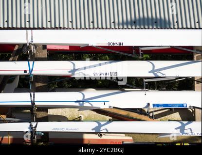 Des échassiers en crémaillère à l'extérieur du hangar à bateaux Radley près de la Tamise créent ces étranges géométries. Fondé en 1921, le hangar à bateaux sert Radley College et les amateurs d'aviron locaux depuis plus d'un siècle. Banque D'Images