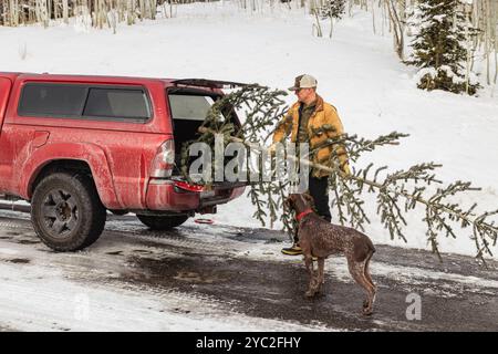 Homme mettant un arbre de noël à l'arrière du camion rouge avec chien Banque D'Images