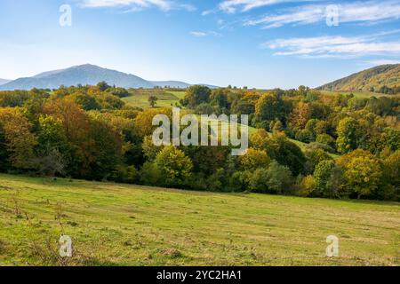 paysage de campagne montagneux de l'ukraine en automne. aventure en plein air par une journée ensoleillée. champs ruraux sur les collines boisées. beau paysage de carpates m Banque D'Images