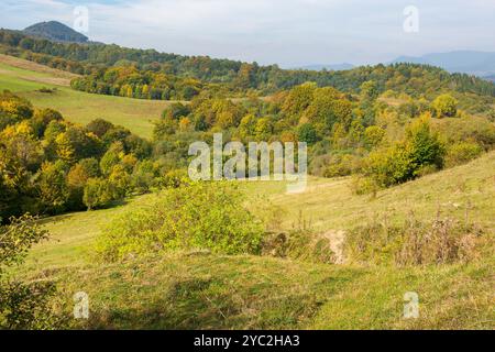 paysage de campagne montagneux de l'ukraine en automne. bois luxuriants journée ensoleillée. champs ruraux sur les collines boisées. beau paysage de montagnes des carpates en Banque D'Images