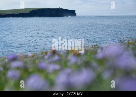 Vue de Brough of Birsay vers Marwick Head, Orcades, Écosse Banque D'Images