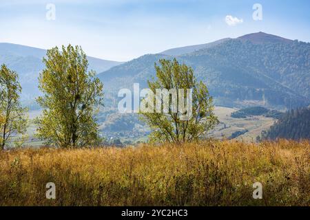 paysage de campagne montagneux de l'ukraine en automne. belle vue sur la journée ensoleillée. champs ruraux sur les collines boisées. beau paysage de montagnes des carpates Banque D'Images