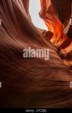 Courbes de grès coulantes dans le Lower Antelope Canyon Banque D'Images