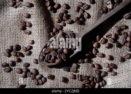 grains de café dans une cuillère en bois sur fond de tissu de sac Banque D'Images