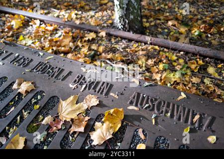 Mahnmal Gleis 17 zur Erinnerung an die deportation von Juden mit der Deutschen Reichsbahn vom Bahnhof Grunewald. / Piste 17 Mémorial commémorant la déportation des Juifs sur la Deutsche Reichsbahn depuis la gare de Grunewald. Snapshot-Photography/K.M.Krause *** Mémorial de la voie 17 commémoration de la déportation des Juifs sur la Deutsche Reichsbahn depuis la station Grunewald Mémorial de la voie 17 commémoration de la déportation des Juifs sur la Deutsche Reichsbahn depuis la station Grunewald cliché de K M Krause Banque D'Images