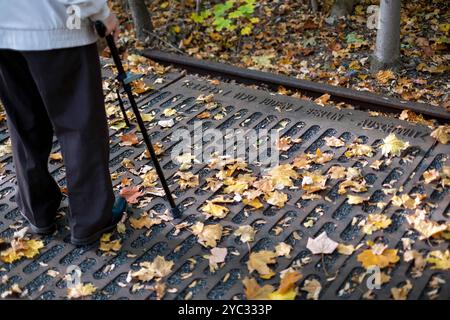 Mahnmal Gleis 17 zur Erinnerung an die deportation von Juden mit der Deutschen Reichsbahn vom Bahnhof Grunewald. / Piste 17 Mémorial commémorant la déportation des Juifs sur la Deutsche Reichsbahn depuis la gare de Grunewald. Snapshot-Photography/K.M.Krause *** Mémorial de la voie 17 commémoration de la déportation des Juifs sur la Deutsche Reichsbahn depuis la station Grunewald Mémorial de la voie 17 commémoration de la déportation des Juifs sur la Deutsche Reichsbahn depuis la station Grunewald cliché de K M Krause Banque D'Images