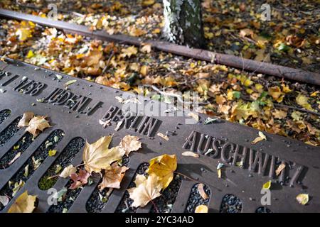 Mahnmal Gleis 17 zur Erinnerung an die deportation von Juden mit der Deutschen Reichsbahn vom Bahnhof Grunewald. / Piste 17 Mémorial commémorant la déportation des Juifs sur la Deutsche Reichsbahn depuis la gare de Grunewald. Snapshot-Photography/K.M.Krause *** Mémorial de la voie 17 commémoration de la déportation des Juifs sur la Deutsche Reichsbahn depuis la station Grunewald Mémorial de la voie 17 commémoration de la déportation des Juifs sur la Deutsche Reichsbahn depuis la station Grunewald cliché de K M Krause Banque D'Images