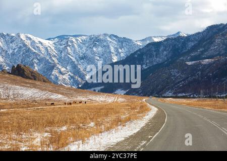 La célèbre route Chuysky Tract dans les montagnes de l'Altaï Banque D'Images