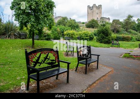 Yorkshire, Royaume-Uni – 23 juillet 2024 : bancs commémoratifs de la première Guerre mondiale dans le parc avant le château de Conisbrough Banque D'Images