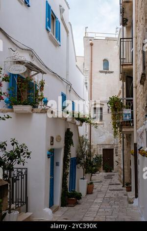 Polignano a Mare Italie 18 septembre 2024 au cœur des Pouilles, en Italie, une rue étroite et tranquille révèle de charmants bâtiments blanchis à la chaux ornés de V. Banque D'Images