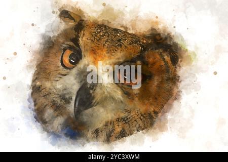 Image rapprochée numériquement améliorée de la tête, du visage et des yeux ambrés hypnotiques d'un aigle-hibou eurasien (Bubo bubo) Banque D'Images