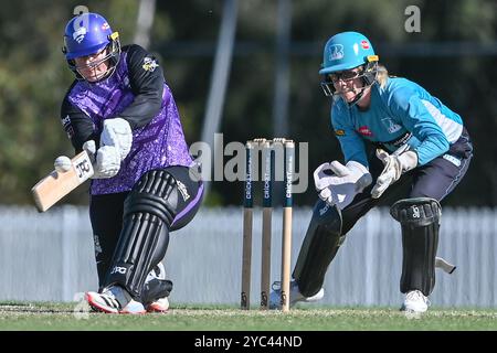 Sydney, Australie. 20 octobre 2024. Lizelle Lee de Hobart Hurricanes joue un tir en battant lors de la finale du T20 Spring Challenge entre Brisbane Heat et Hobart Hurricanes à Cricket Central. Hobart Hurricanes a remporté l'édition inaugurale du T20 Spring Challenge, un nouveau tournoi national de cricket féminin australien, en battant Brisbane Heat par 5 guichets dans le dernier ballon du match. Brisbane Heat : 133/9, Hobart Hurricanes : 134/5. Crédit : SOPA images Limited/Alamy Live News Banque D'Images