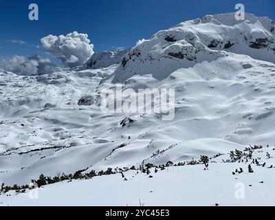 Randonnée hivernale sur la montagne Cvrsnica, Bosnie Banque D'Images