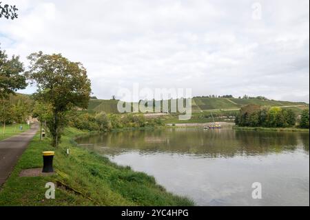 Stadtbredimus Luxembourg 2 octobre 2024 vue le long de la Moselle avec les collines couvertes de vignes. Sur la rive opposée, l'Allemagne. Route du vin, eifel Banque D'Images