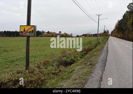 Cette image montre un paysage rural avec une longue route droite sur le côté droit de la photo. La route traverse un champ plat et ouvert avec une ligne électrique Banque D'Images