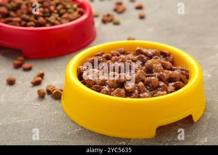 Nourriture humide et sèche pour animaux de compagnie dans des bols d'alimentation sur fond clair. Vue de dessus Banque D'Images