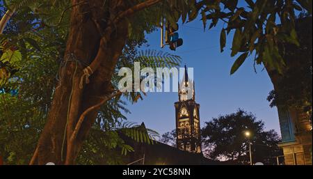 Tour de l'horloge Rajabai dans l'illumination du soir. Tour de l'horloge à Mumbai Inde. Confins du Fort Campus de l'Université de Mumbai. Il s'inspire de Big Ben In Banque D'Images