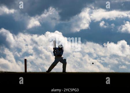 Batteur de cricket silhouette en action sur le point de frapper. Banque D'Images