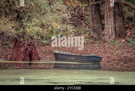 Une vieille barque en bois repose paisiblement sur le rivage d'un étang tranquille, sa peinture altérée s'écaillant et ses rames reposant sur un sol boueux Banque D'Images