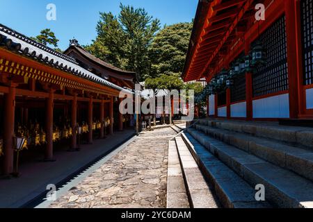 Nara, Japon - 14 août 2024 : vue extérieure du sanctuaire Kasuga-taisha Banque D'Images