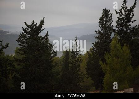 Ciel nuageux et épais brouillard sur les montagnes de Judée et les vallées couvertes de conifères comme vu de la forêt de Jérusalem à Jérusalem Banque D'Images