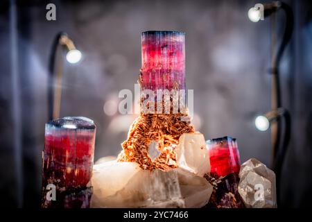 WASHINGTON DC, États-Unis — le spécimen d'elbaite « Candelabra » de la mine de Tourmaline Queen en Californie est l'une des pièces les plus distinctives de la galerie Eberly Minerals and Gems du musée d'histoire naturelle du Smithsonian. Ce remarquable spécimen présente trois cristaux d'elbaite rose chaud avec des sommets bleus distinctifs, sertis en albite et quartz. Le zonage de couleur unique démontre les conditions chimiques changeantes pendant la formation du cristal. Banque D'Images