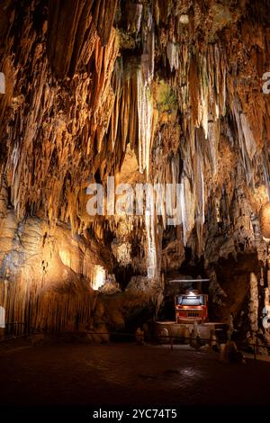 LURAY, Virginie, États-Unis — le Great Stalacpipe Organ, situé dans les grottes de Luray, est le plus grand instrument de musique au monde, utilisant des stalactites naturelles pour produire du son. Conçu et construit par Leland W. Sprinkle en 1956, cet orgue unique couvre plus de trois hectares de cavernes, produisant de la musique en frappant des stalactites avec des maillets à bout de caoutchouc. Banque D'Images