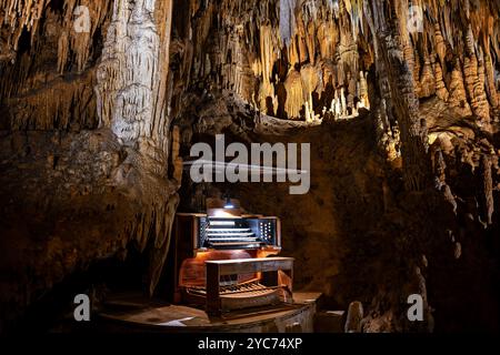 LURAY, Virginie, États-Unis — le Great Stalacpipe Organ, situé dans les grottes de Luray, est le plus grand instrument de musique au monde, utilisant des stalactites naturelles pour produire du son. Conçu et construit par Leland W. Sprinkle en 1956, cet orgue unique couvre plus de trois hectares de cavernes, produisant de la musique en frappant des stalactites avec des maillets à bout de caoutchouc. Banque D'Images