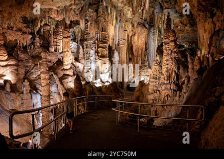 Grottes de Luray Gaverns formations calcaires du Giant's Hall Luray Virginia // LURAY, Virginie, États-Unis — le Giant's Hall, l'une des plus grandes chambres des grottes de Luray, présente des formations calcaires spectaculaires. Cette vaste salle souterraine présente d'imposantes colonnes, stalactites et stalagmites formées au fil des millions d'années. La chambre représente l'une des formations naturelles les plus impressionnantes des systèmes de grottes de Virginie. Banque D'Images