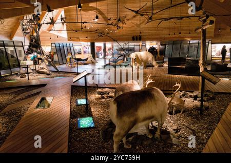 LONGYEARBYEN, Svalbard — la principale salle d'exposition du Musée du Svalbard présente des expositions sur l'histoire naturelle et culturelle de l'Arctique. Les expositions complètes du musée documentent la faune et la flore de la région, l'histoire de la chasse à la baleine, les traditions de chasse et les industries d'extraction des ressources. Situé à Longyearbyen, ce musée est la principale institution préservant le patrimoine du Svalbard. Banque D'Images