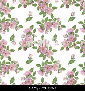 Fleurs roses Rosa Canina et bourgeons de rose musquée avec des feuilles vertes. Modèle sans couture, chien rose peint à la main clipart aquarelle. Parfait pour les motifs de tissu, les papiers peints ou les conceptions de papeterie personnalisées Banque D'Images