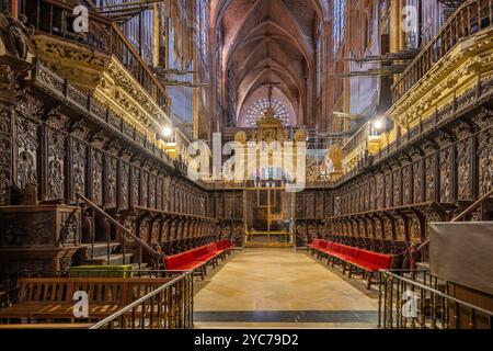 Cathédrale Santa María de León, León, Castille-et-León, Espagne, León, Castille-et-León, Espagne Banque D'Images