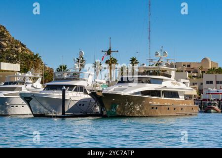 Cabo San Lucas, Mexique - 14 janvier 20204 : yachts à moteur de luxe amarrés dans le port de Cabo San Lucas Banque D'Images