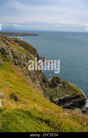 Les falaises près du sud empilent le phare Anglesey Wales avec la tour d'Elin (gallois : Tŵr Elin) Banque D'Images
